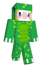 Skin preview