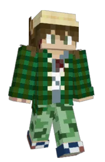 Front of twiggend's skin