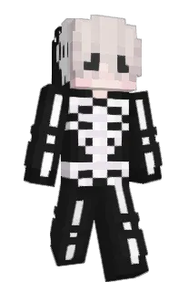 Front of Minecraft skin