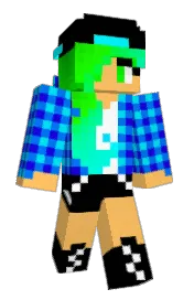Skin preview