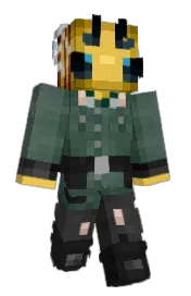 Skin preview