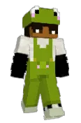 DrFlock