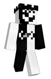 Front of SX_10's skin