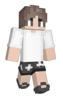Front of cocchio's skin