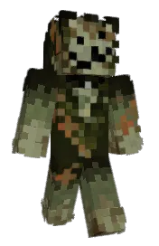 Skin preview