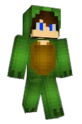 TurtlesCantCombo