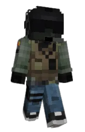 Skin preview