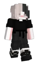 lwersq's Minecraft skin wearing the Migrator cape