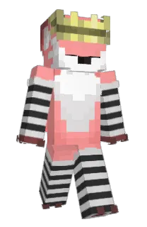 Front of Zylenon's skin