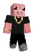 PVP1G