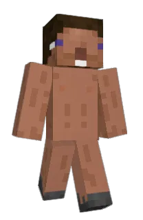 Front of sminb727's skin