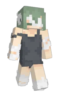 Front of FreezedFrogs's skin