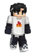 sjem_pot