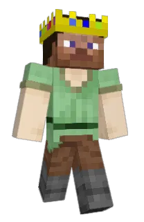 Front of BWDD's skin