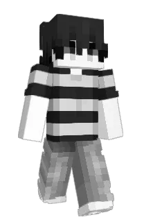n5l4n's Minecraft skin