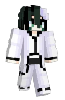 Po55555's Minecraft skin