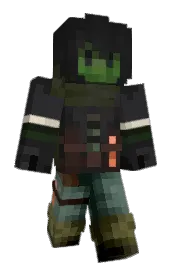 Skin preview