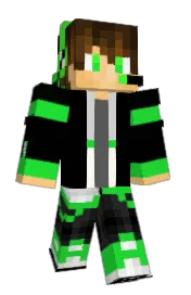 Skin preview