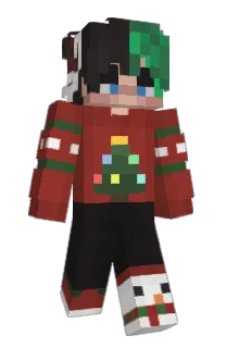 Front of eccopip's skin