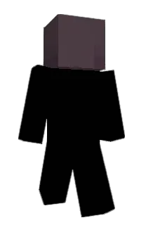 Front of wiredframe's skin
