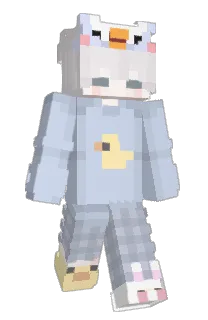 Front of NFzero's skin