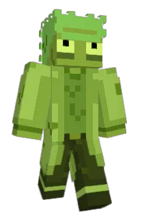 222222222299's Minecraft skin