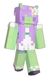 Skin preview