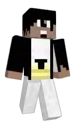 Classic Minecraft skin