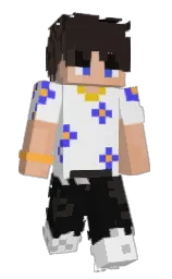 gallery and cod gray Minecraft skin — Slim model