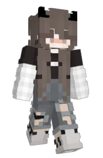 Front of noisano's skin