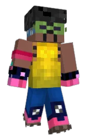 Skin preview
