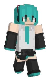 Skin preview