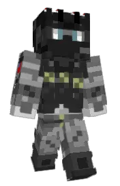 Skin preview
