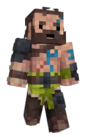 Skin preview