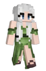 Skin preview