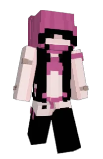 Front of S420INT's skin