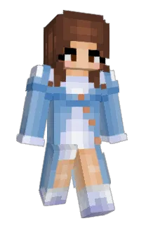 Front of PK_H's skin