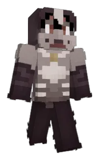 Front of Shyderweb's skin