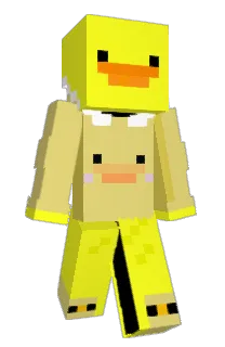 Front of Zywii's skin