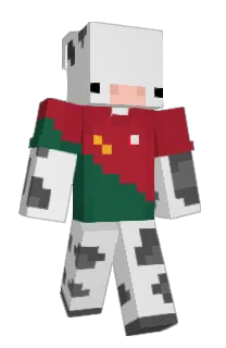 Front of Schnecka's skin