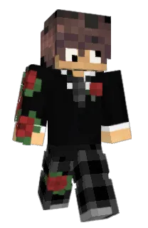 Front of queizen's skin