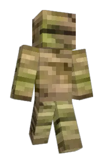 5iji Minecraft avatar full body