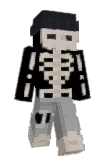 5plash Minecraft avatar full body