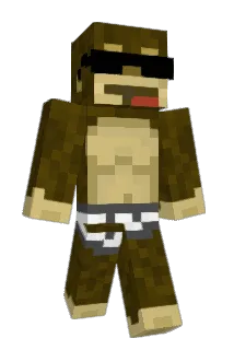 5qb Minecraft avatar full body