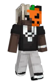 5req Minecraft avatar full body