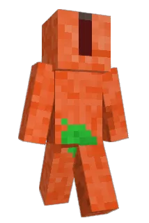 5tak Minecraft avatar full body