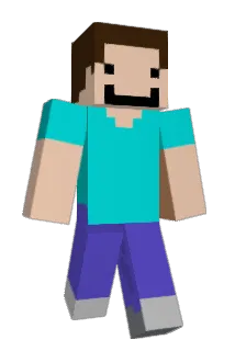 5tarv1n Minecraft avatar full body