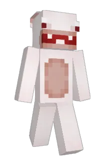 5v7_ Minecraft avatar full body