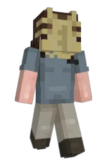 5w3rv05 Minecraft avatar full body