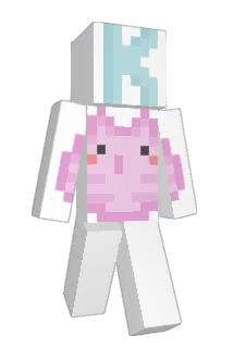 5w9 Minecraft avatar full body